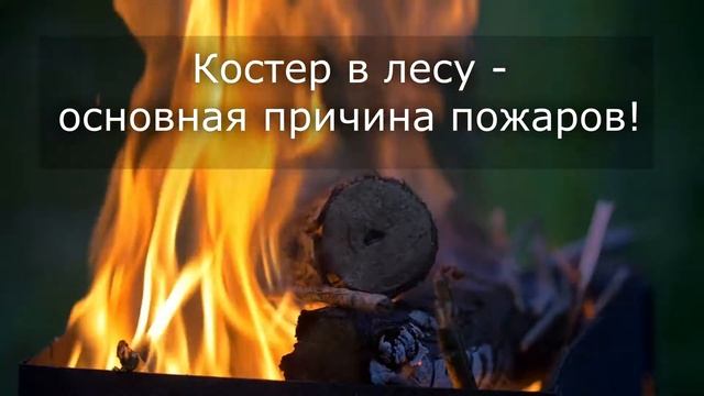 Берегите лес от пожара mp4 смотреть онлайн