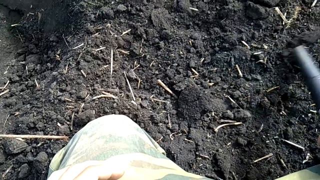 Копаем селуху времён Петра Первого|А ещё за нами бежали кабаны смотреть онлайн