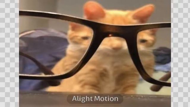 топ 3 самые смешные картинки смотреть онлайн