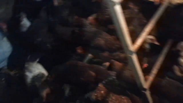 Нижний Шкафт. Зима. Метель.