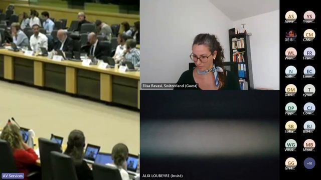Schengen Conference Session 3 - The Scope of the Schengen Acquis: Slim or Large Fit? смотреть онлайн