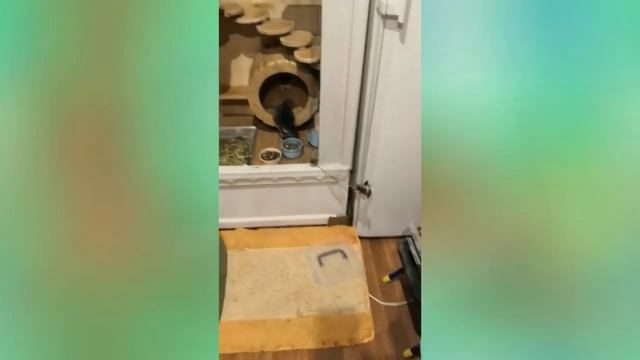 "Творим добро каждый день" смотреть онлайн