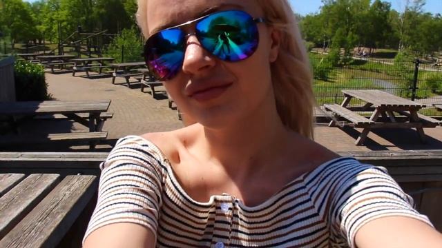 Vlog: А теперь в зоорапк! Сафари на машине и новорожденный слоненок! ♥ Lucky Lina смотреть онлайн
