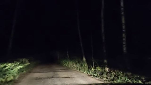 Ближний свет + ПТФ мазда 3 BK, TYC смотреть онлайн