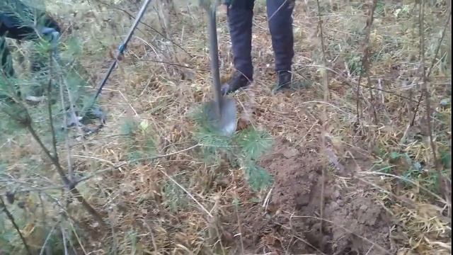 НУ ВОИТ И ВЫБРАЛИСЬ С XP DEUS И GARRET ACE на КОП МЕТАЛЛА ХОРОШО ПОГУЛЯЛИ смотреть онлайн