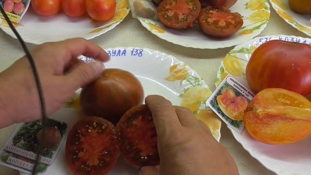 ТОМАТ "КОЗУЛА - 138". №575. ДЕГУСТАЦИЯ. Ольга Чернова. смотреть онлайн