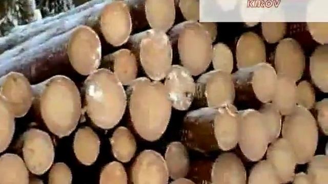 кругляк смотреть онлайн