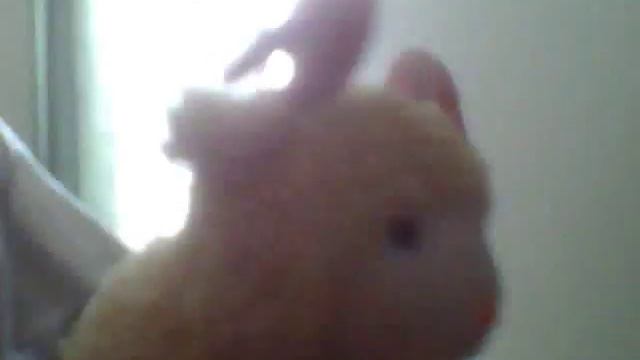 Барашек смотреть онлайн