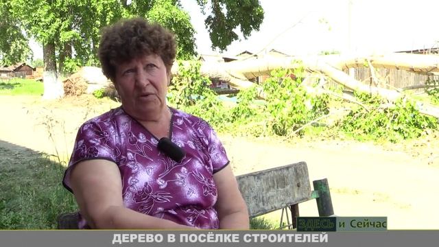 ДЕРЕВО В ПОСЕЛКЕ СТРОИТЕЛЕЙ смотреть онлайн