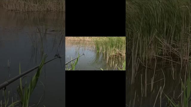 Только для Рыбаков!!! Укромные места Краснодарского края ✌🏼 смотреть онлайн