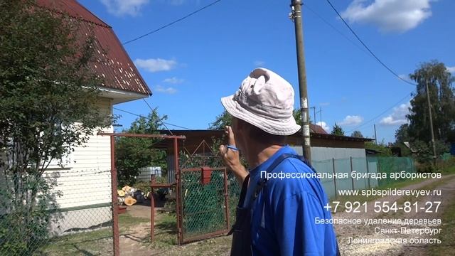 Спил сложных деревьев в Лен. обл. , СПб смотреть онлайн