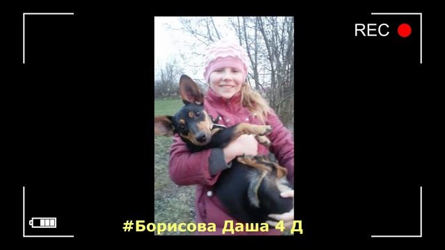 Селфи с домашними животными смотреть онлайн