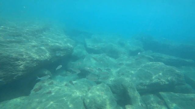 Подводная съёмка. Средиземное море. Турция. Аланья. Underwater photography. Mediterranean Sea. . смотреть онлайн