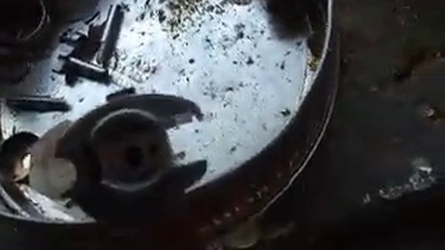 inside lucas dpa pump (diesel injection pump) смотреть онлайн