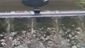 Аквариум, внешний фильтр, запуск, Tetra EX-1200