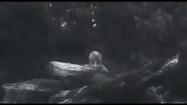 Откуда пошли вежливые зелёные человечки... смотреть онлайн