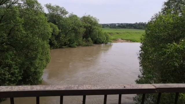 Горелик Дарья, 6 лет. Стихотворение "Как Россия велика" смотреть онлайн