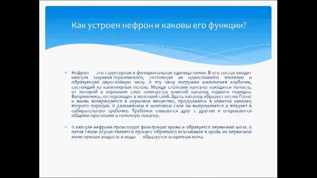 Выделение. Урок биологии. смотреть онлайн