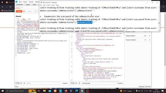 #10 BLIND SQL INJECTION Practical | PORT SWIGGER | SQL INJECTION SERIES | PART 2 смотреть онлайн