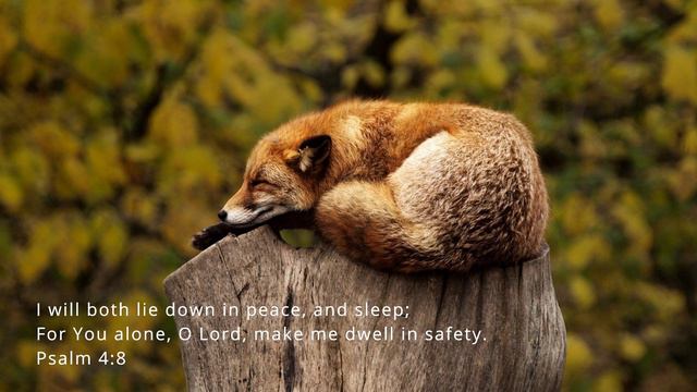 I Will Give You Peace | God's 7 Promises | Daily Prayers | Psalm 4:8 | The Prayer Channel (Day 29) смотреть онлайн
