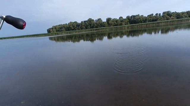 ПОПАЛ НА ОСЕННИЙ ЖОР ОКУНЯ!!!))Рыбалка на спиннинг!!!))) смотреть онлайн