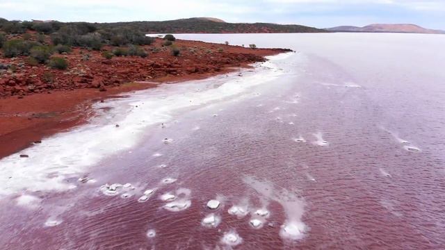 Lake Gairdner SA after the rain - Mavic Air смотреть онлайн