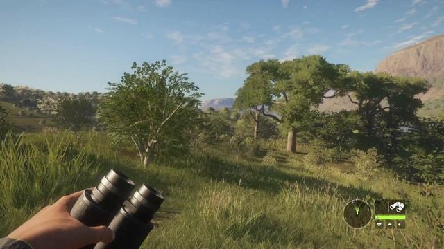 The Hunter: Call of the Wild Теперь не лев король джунглей смотреть онлайн