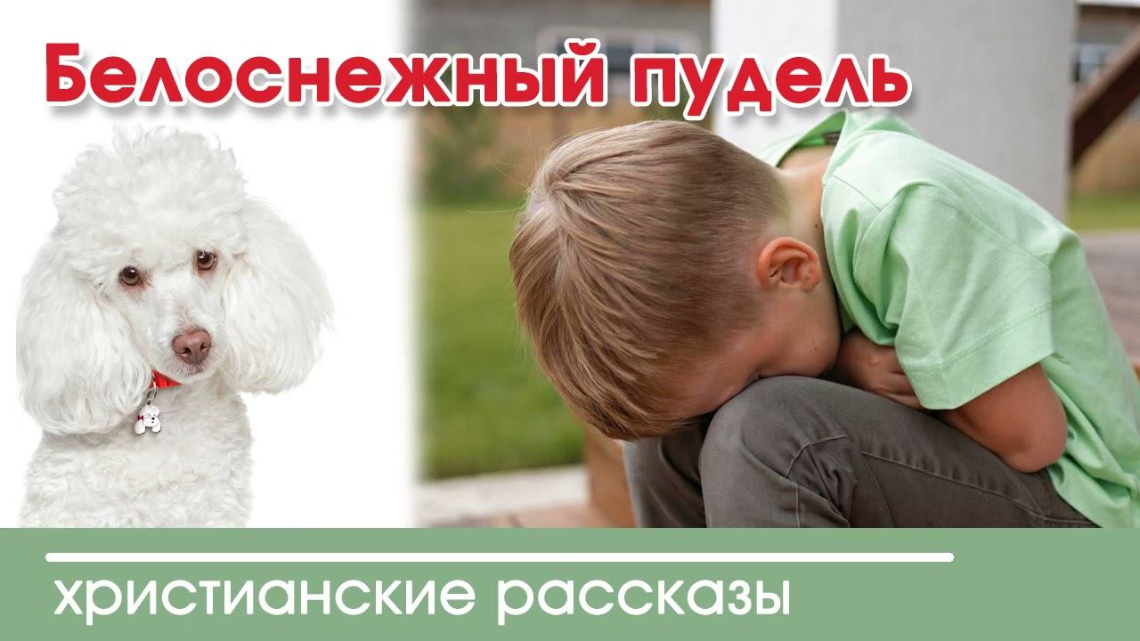 Белоснежный пудель - ИНТЕРЕСНЫЙ ХРИСТИАНСКИЙ РАССКАЗ | Христианские рассказы смотреть онлайн