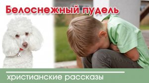 Белоснежный пудель - ИНТЕРЕСНЫЙ ХРИСТИАНСКИЙ РАССКАЗ | Христианские рассказы