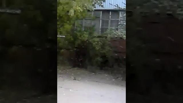 Ведьма в реальной жизни смотреть онлайн