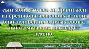Книга Товита с музыкой глава 4 читаем и слушаем
