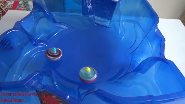 АЛЫЙ ВОЛК VS ГИГАНТСКИЙ ПИТОН VS ЯРОСТНЫЙ ЦЕРБЕР. Баттл волчков ИНФИНИТИ НАДО. 13+ смотреть онлайн