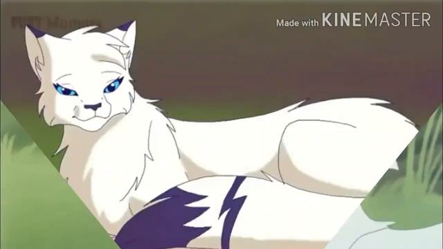 Коты воители- это не девочка , это-беда! смотреть онлайн