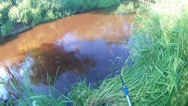 Ловля Чебака на малои реке. смотреть онлайн
