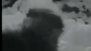 ПСЫ И ВОЛКИ