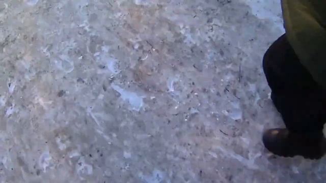 VLOG Город Сна - Уфа - ZerberFest смотреть онлайн