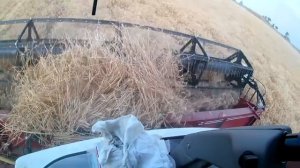 Помогаю настраивать Акрос 550.