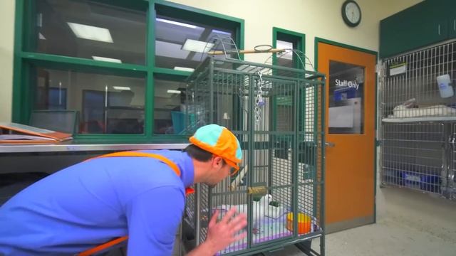 2 HOURS OF BLIPPI ANIMALS | Best Animal Videos For Kids | Educational Videos For Kids | Blippi Toys