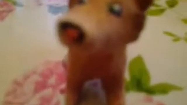 Шпиц из пластелина!!! смотреть онлайн