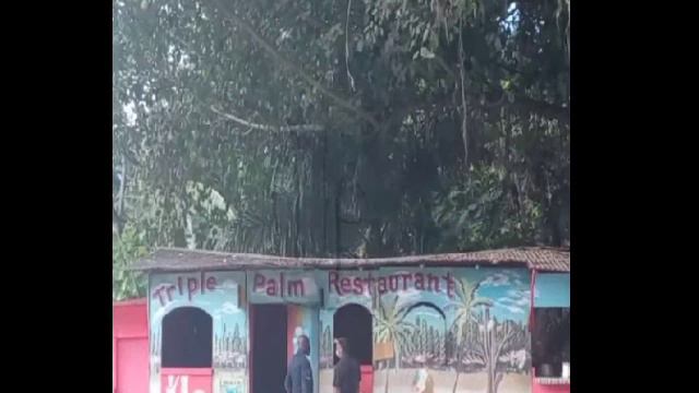 Rose Christian Sh*t D3@d At Her Restaurant In Great River St James|Woman Di3s In H!t And Rvn