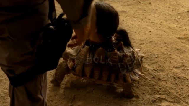 Tortuga смотреть онлайн