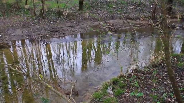 Черная речка 12.04.2021 смотреть онлайн