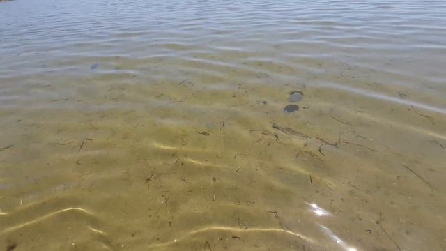 путешествуем в Скадовск. смотреть онлайн