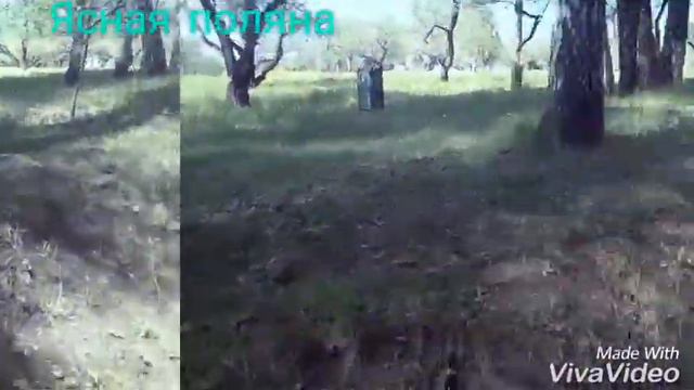 #Влог Тула#Ясная поляна смотреть онлайн