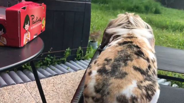 Если ты мама, то загорать тебе нельзя! смотреть онлайн