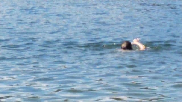 Светлоярское озеро 2020 год. смотреть онлайн