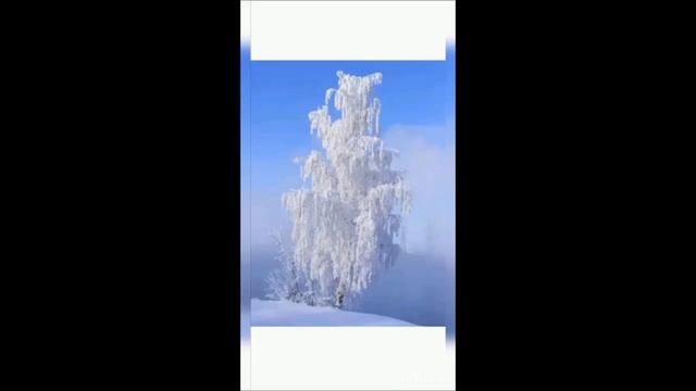 Акция «Ваш Сергей Есенин». Елена Ведяшева смотреть онлайн