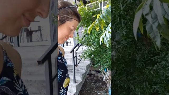 кинотеатр под открытым небом на белом пляже , Абхазия, Новый Афон песни с прохожими смотреть онлайн
