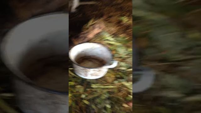 Разведение и жизнь Нутрий (Чудесные животные) Первое видео смотреть онлайн