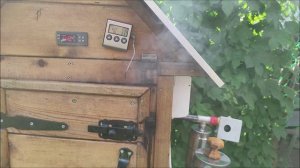 Как закоптить рыбу.Рыба горячего копчения.Дорадо на шишках..Щепа для копчения.